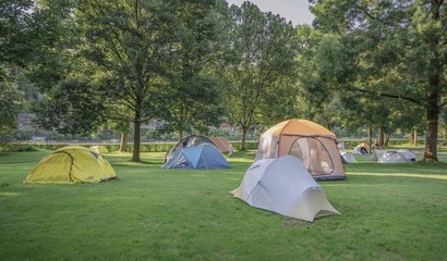Zelte auf der Zeltwiese des Campings Eichholz.
